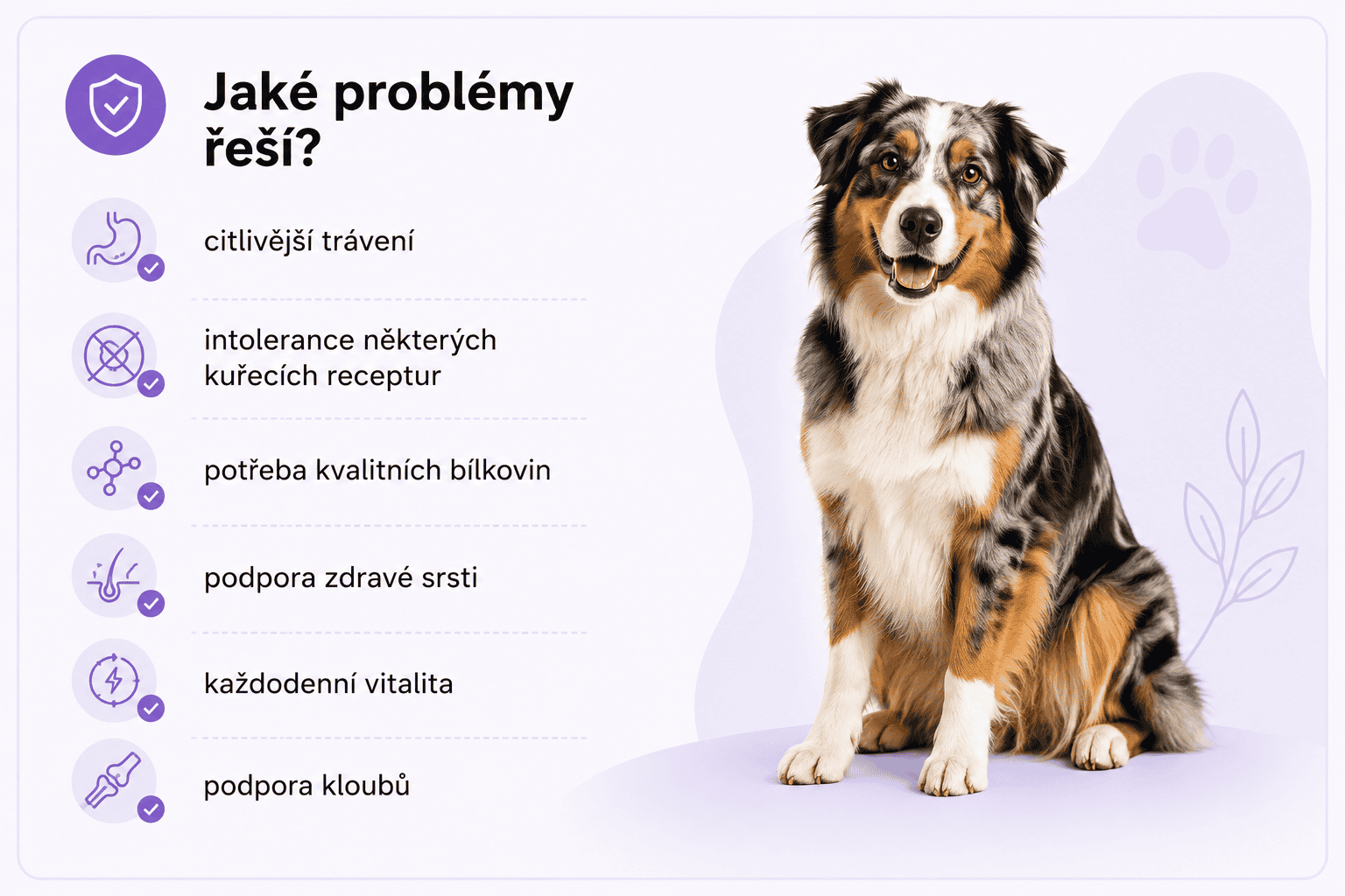 AG Lamb jaké řeší problémy (1)